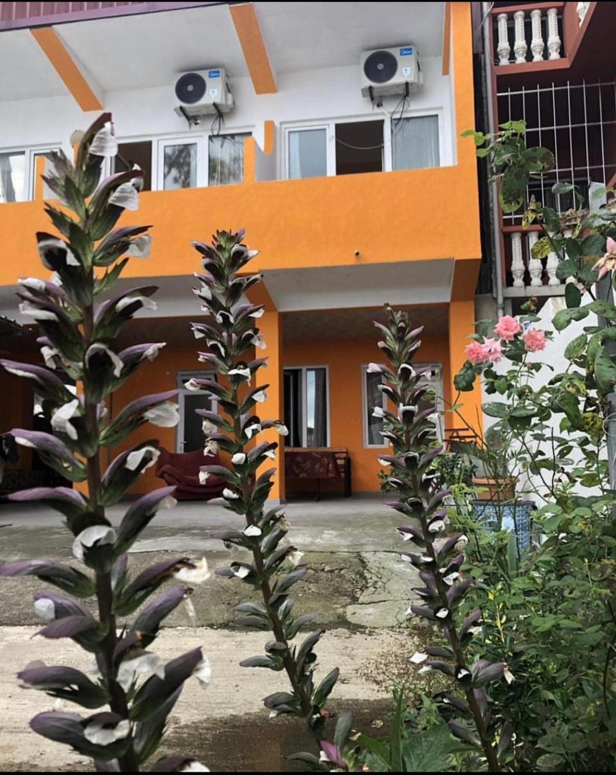 Guest House Orange 코불레티 외부 사진